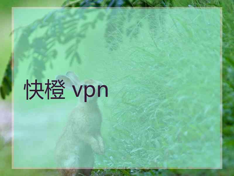 快橙 vpn