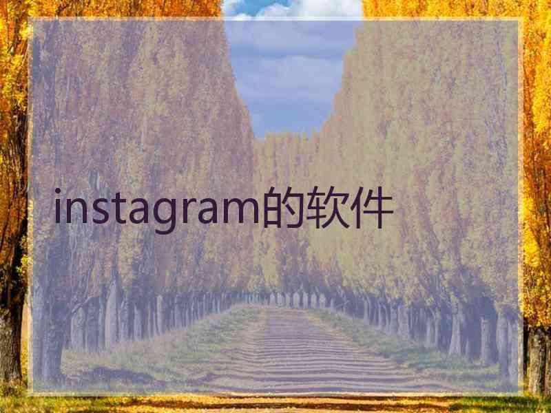 instagram的软件