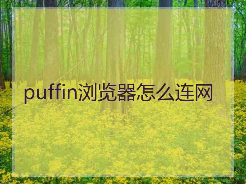 puffin浏览器怎么连网