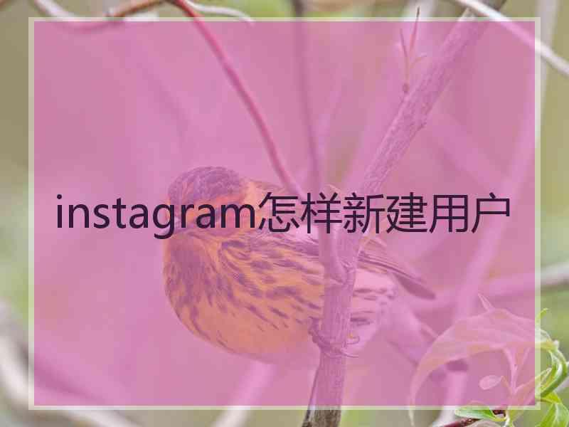 instagram怎样新建用户