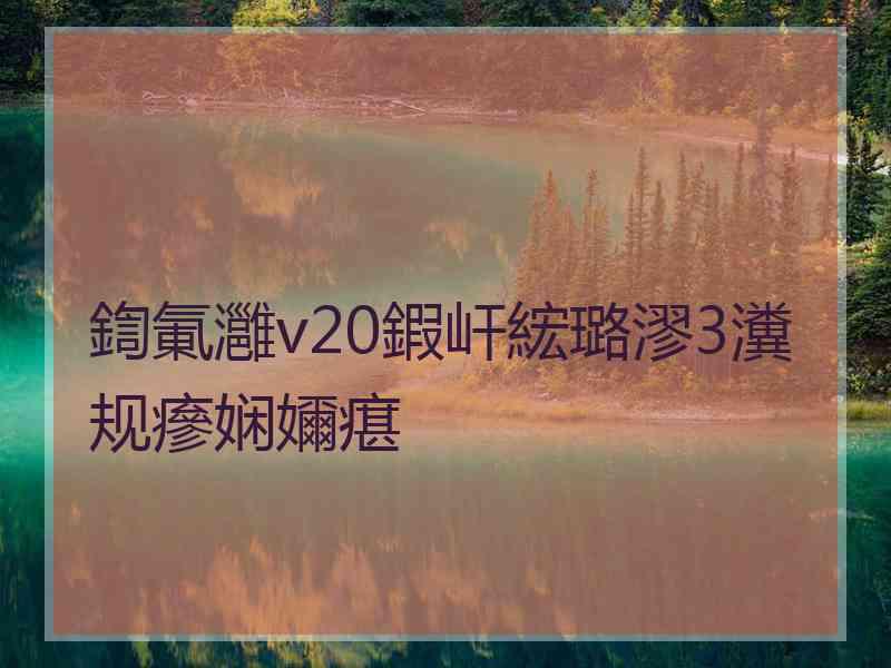 鍧氭灉v20鍜屽綋璐漻3瀵规瘮娴嬭瘎