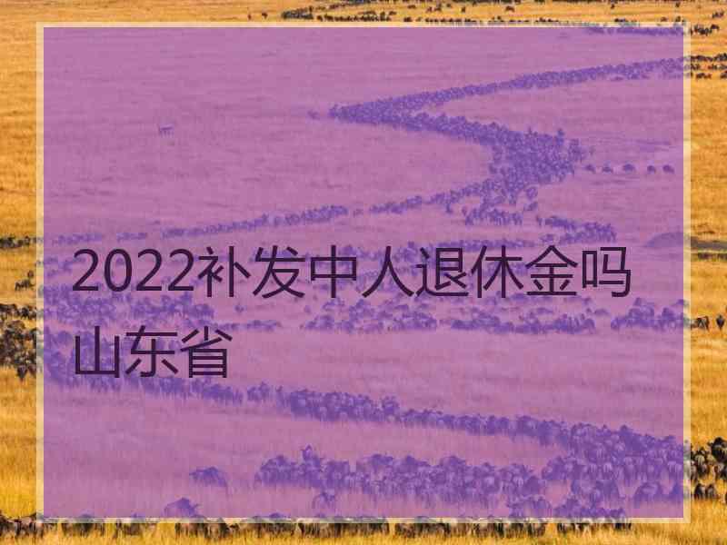 2022补发中人退休金吗山东省