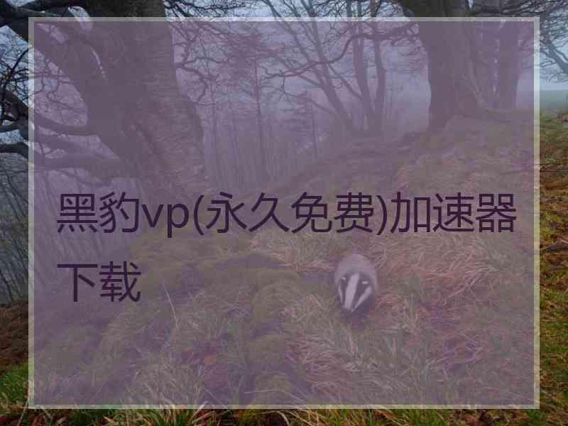 黑豹vp(永久免费)加速器下载