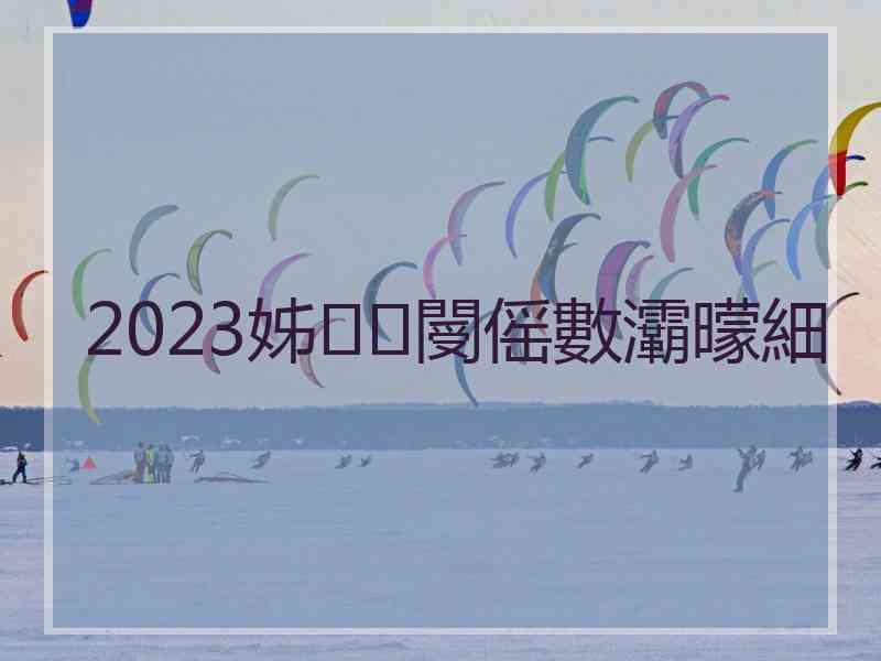 2023姊閿傜數灞曚細