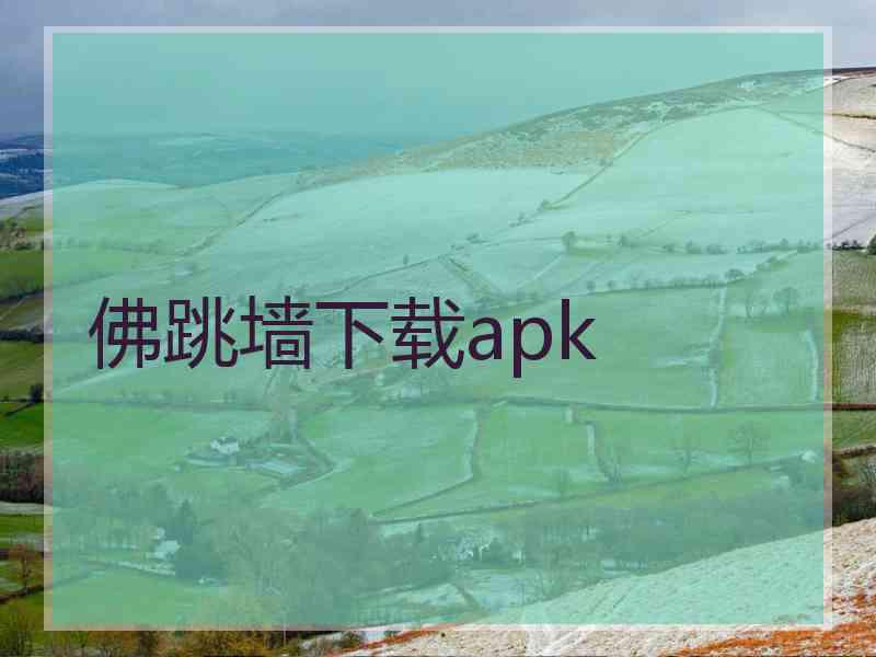 佛跳墙下载apk