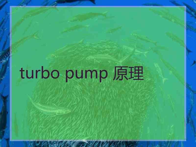 turbo pump 原理