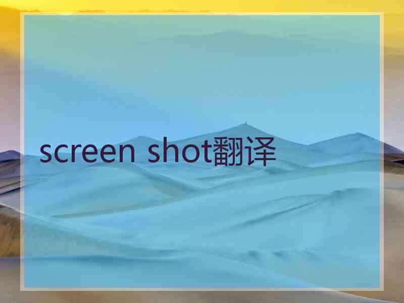 screen shot翻译