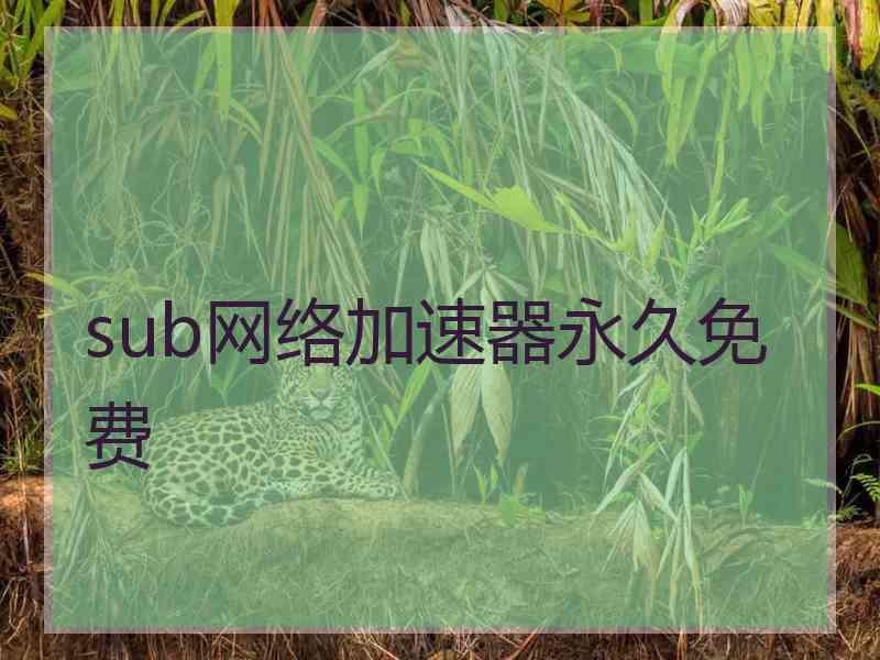 sub网络加速器永久免费