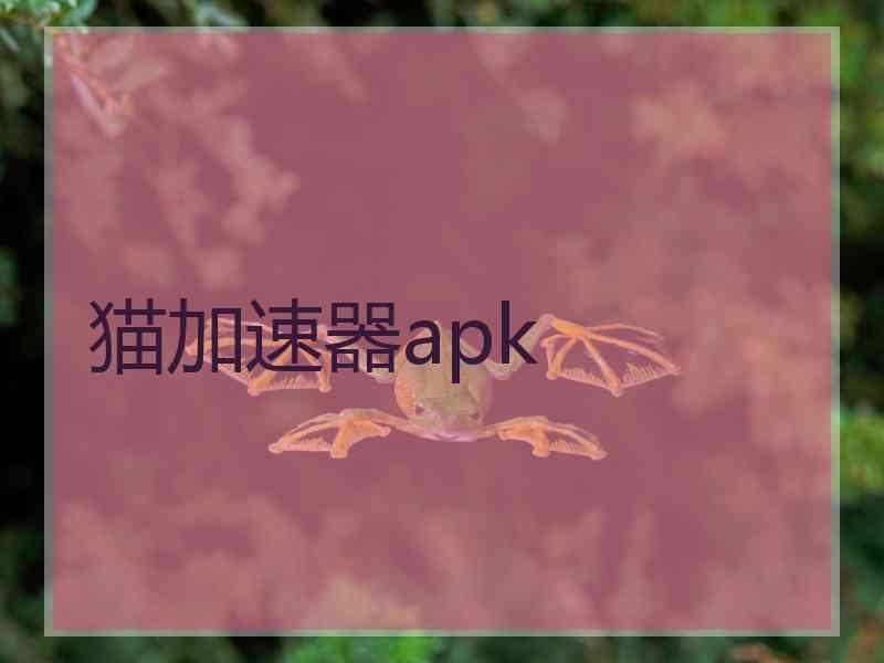 猫加速器apk