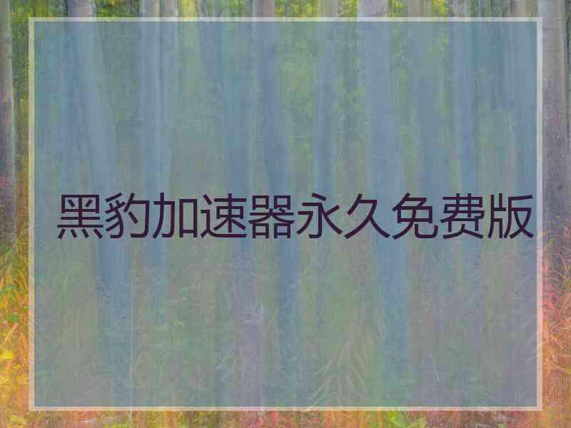 黑豹加速器永久免费版