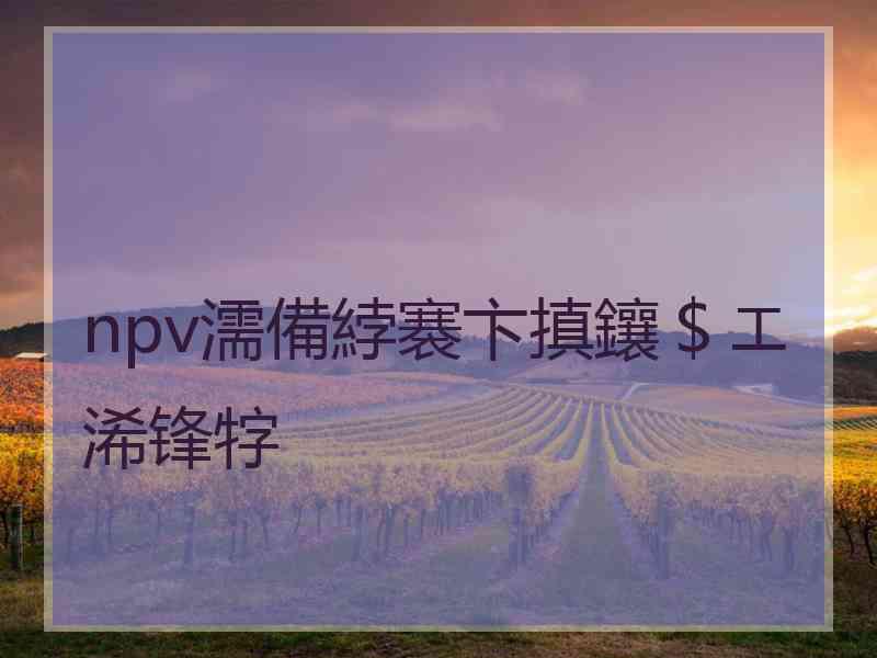 npv濡備綍褰卞搷鑲＄エ浠锋牸