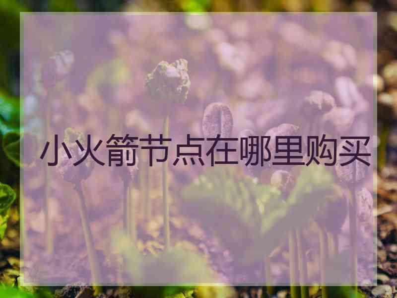 小火箭节点在哪里购买