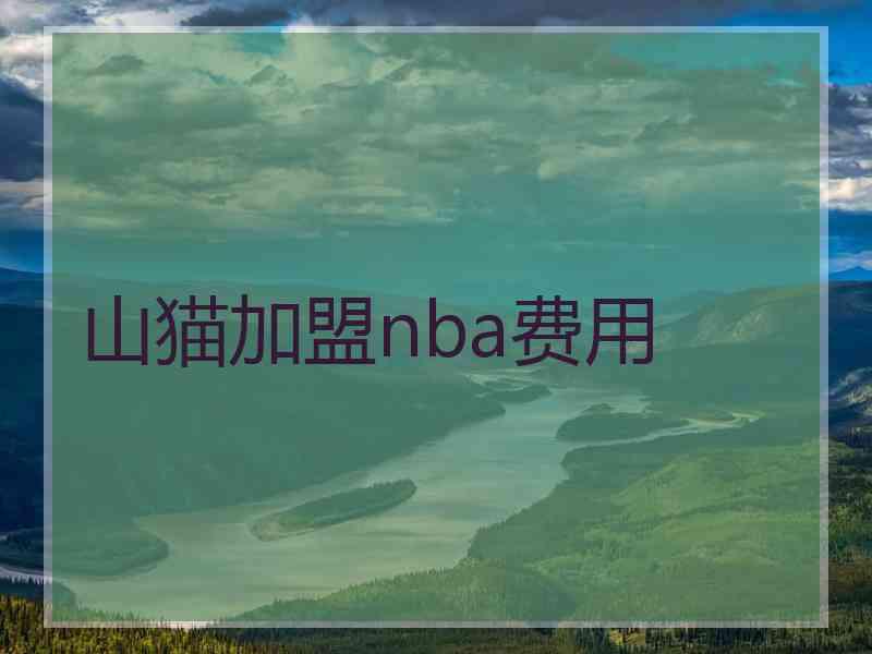 山猫加盟nba费用