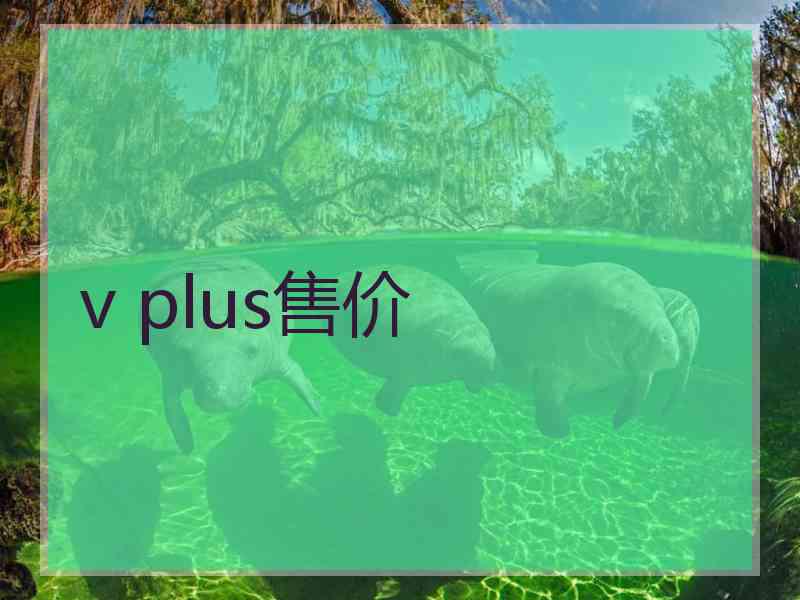 v plus售价