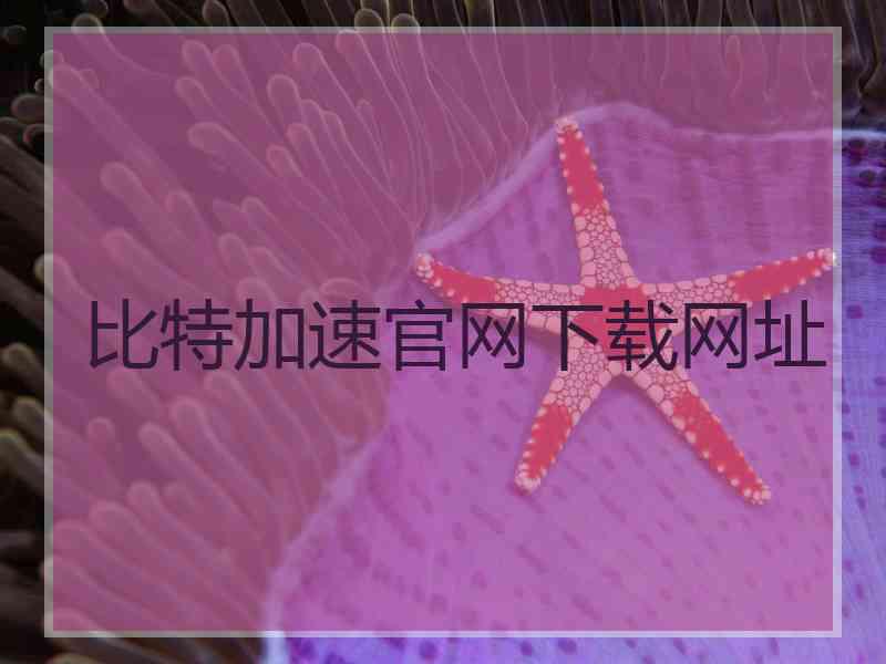 比特加速官网下载网址