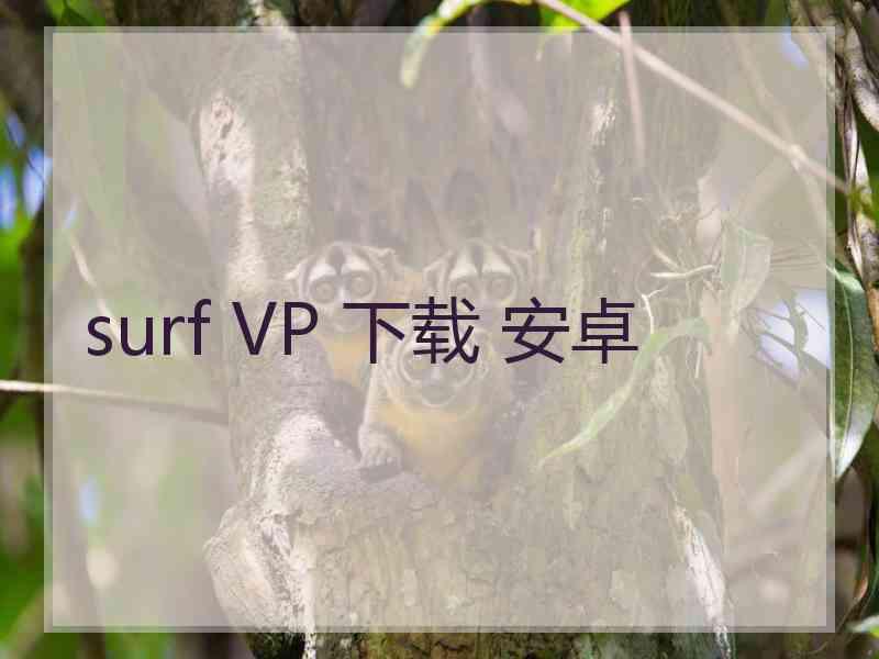 surf VP 下载 安卓