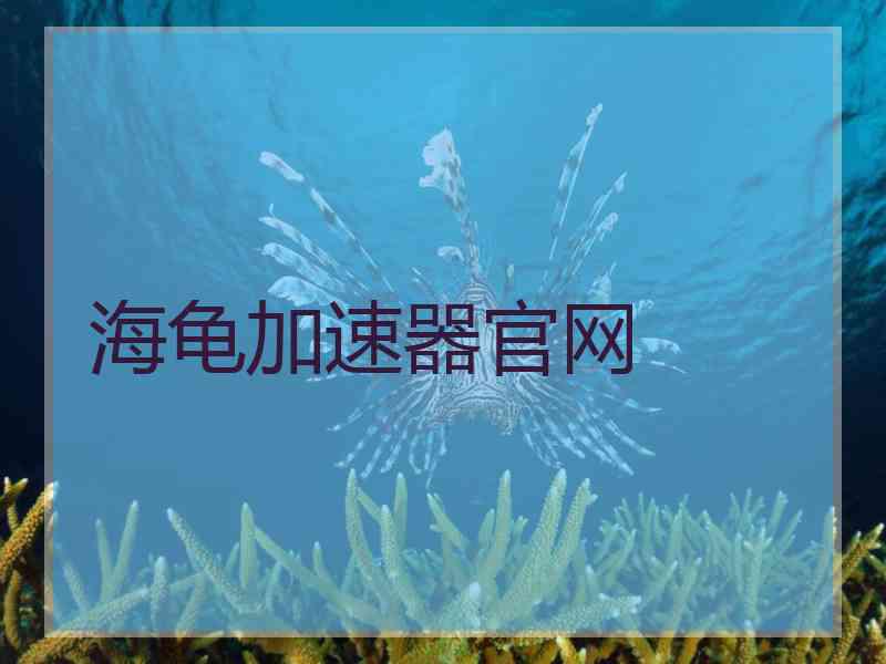 海龟加速器官网