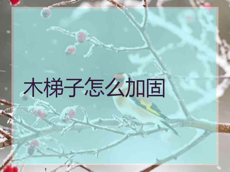 木梯子怎么加固