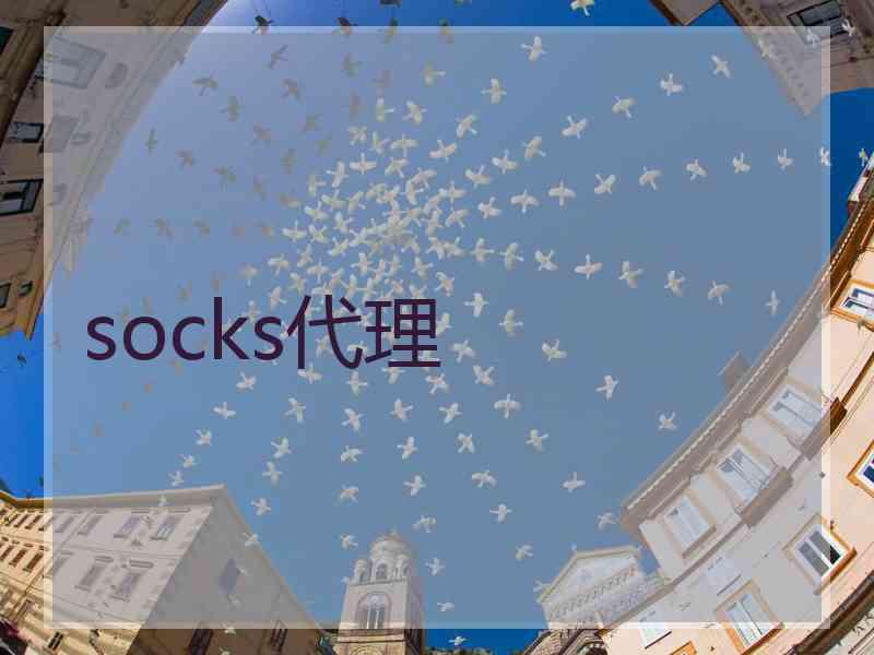 socks代理