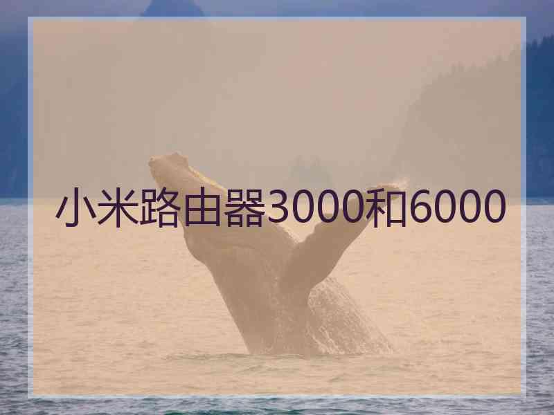 小米路由器3000和6000