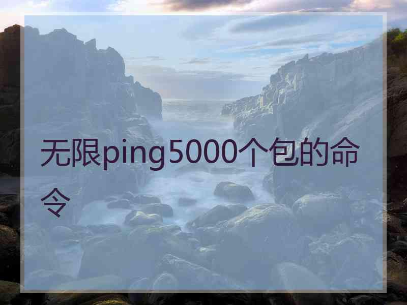 无限ping5000个包的命令