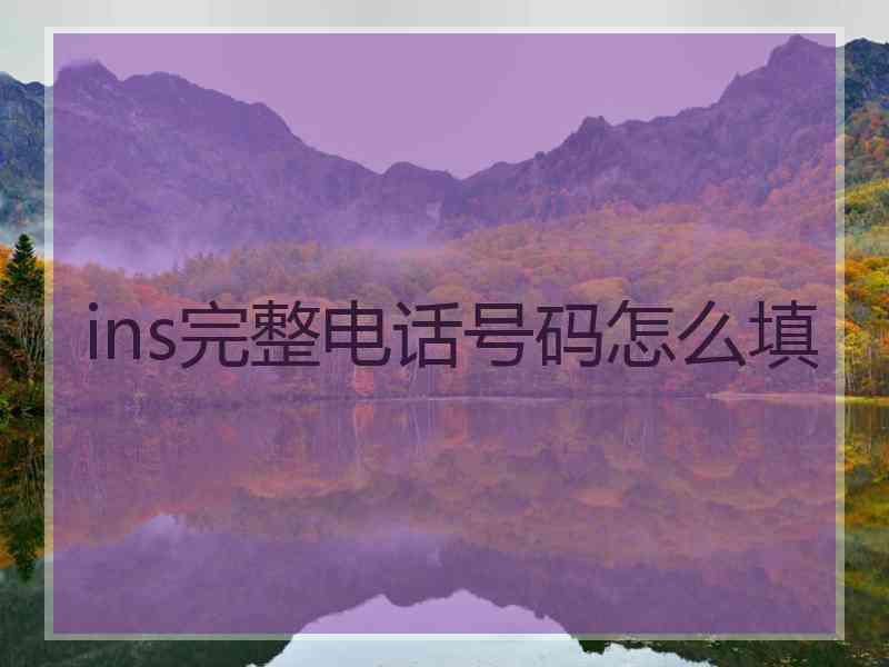 ins完整电话号码怎么填