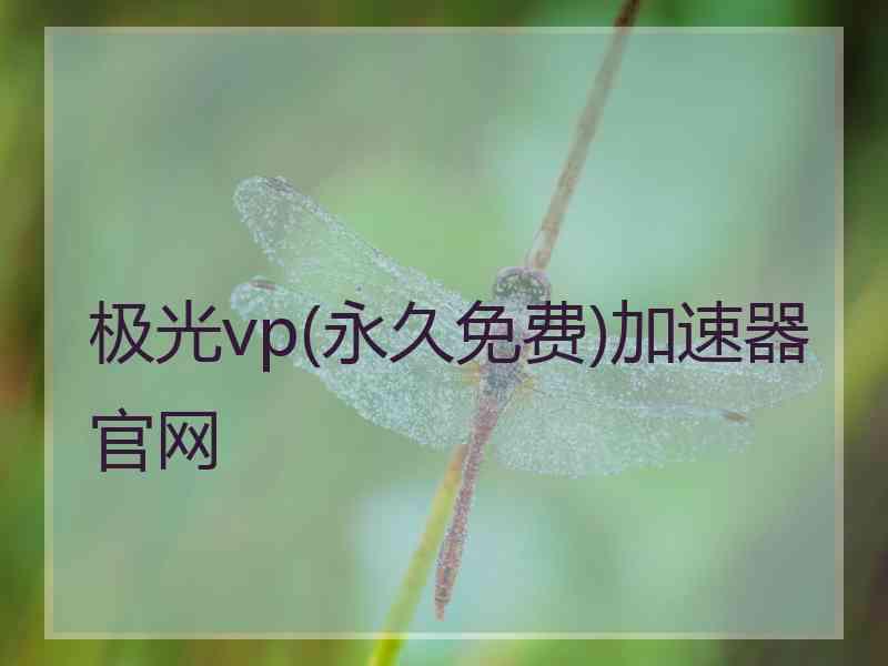 极光vp(永久免费)加速器官网