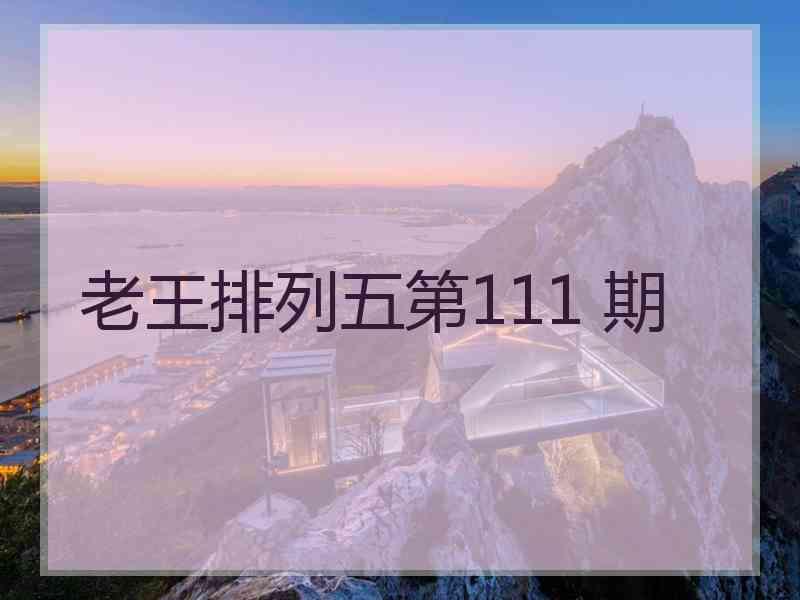 老王排列五第111 期