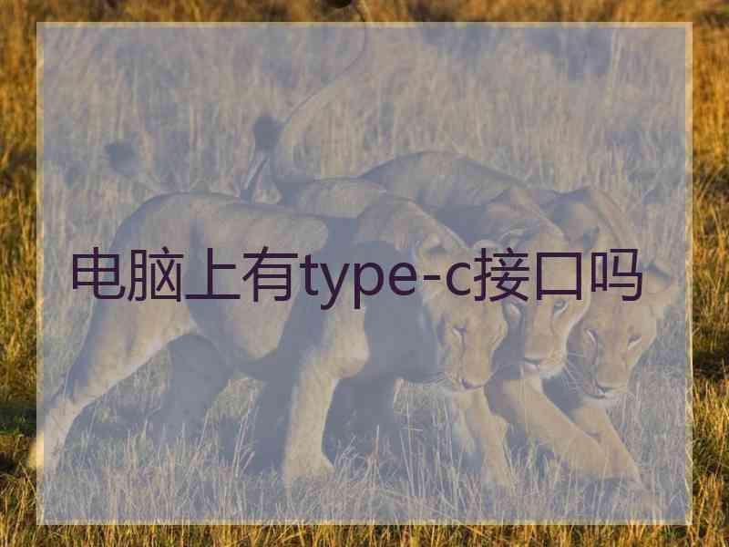 电脑上有type-c接口吗