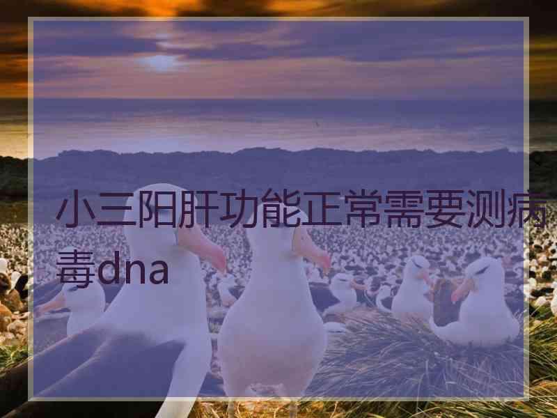 小三阳肝功能正常需要测病毒dna