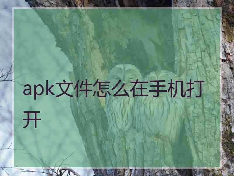 apk文件怎么在手机打开