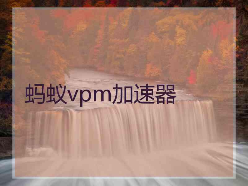 蚂蚁vpm加速器