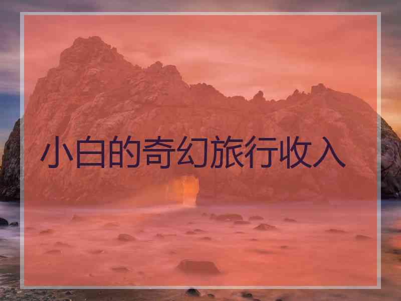 小白的奇幻旅行收入