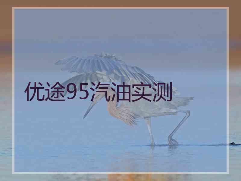 优途95汽油实测