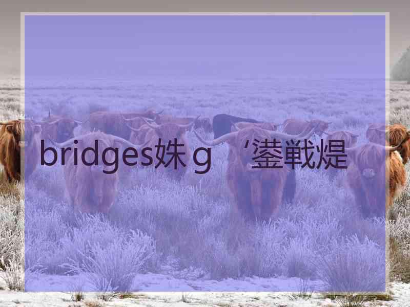 bridges姝ｇ‘鍙戦煶