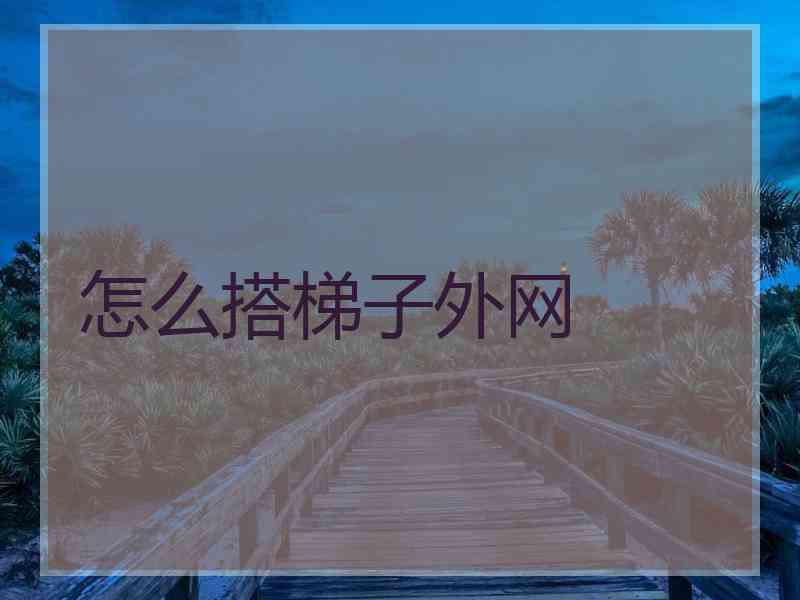 怎么搭梯子外网