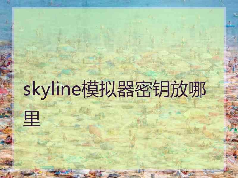 skyline模拟器密钥放哪里