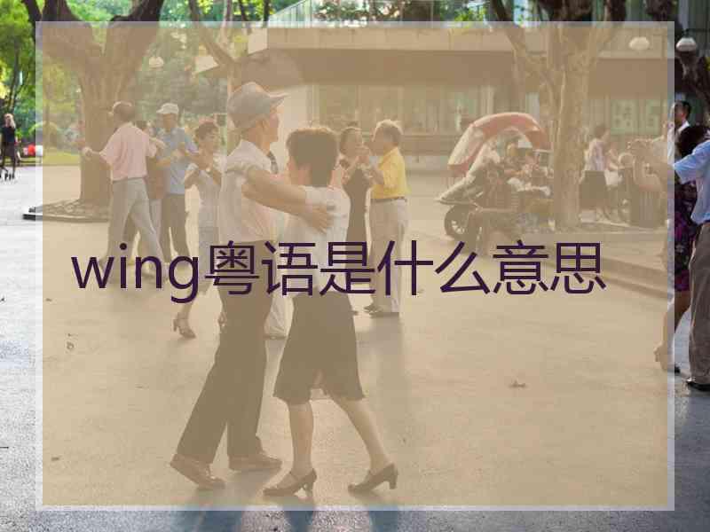 wing粤语是什么意思