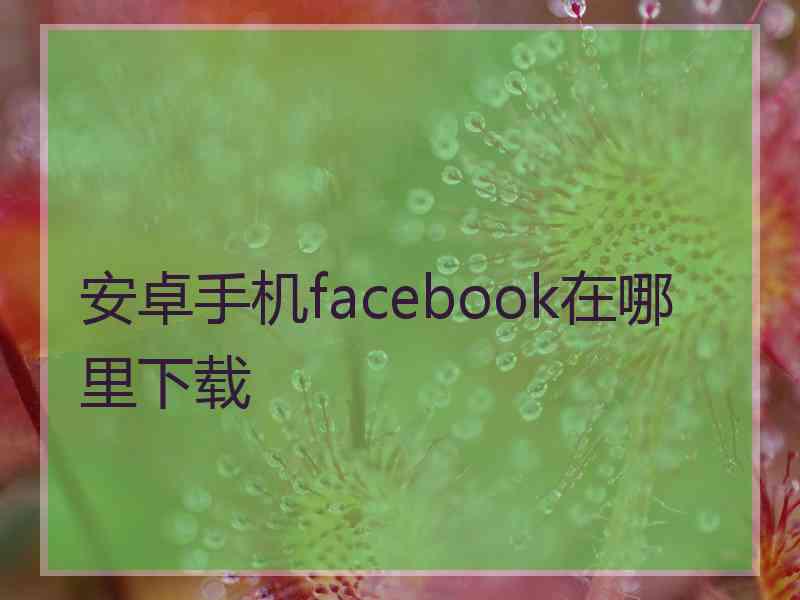 安卓手机facebook在哪里下载