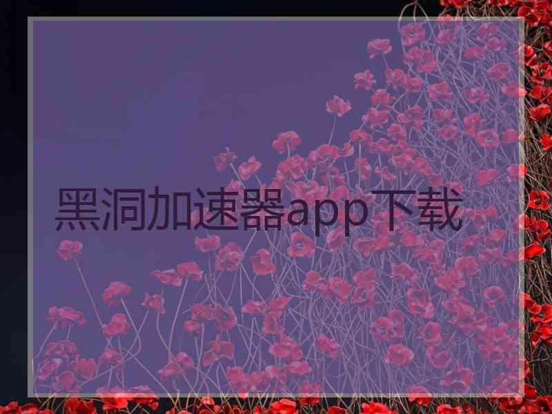 黑洞加速器app下载