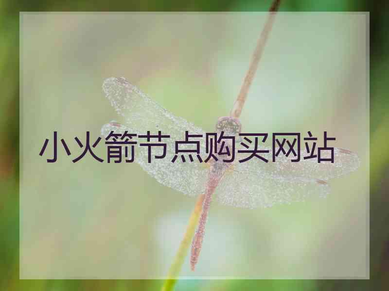 小火箭节点购买网站