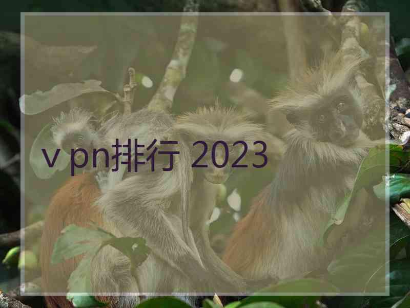 ⅴpn排行 2023