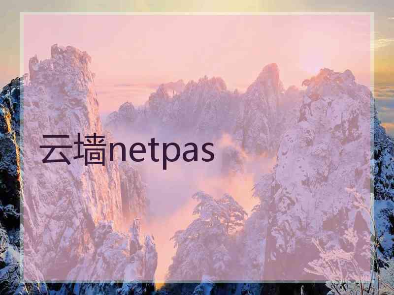 云墙netpas