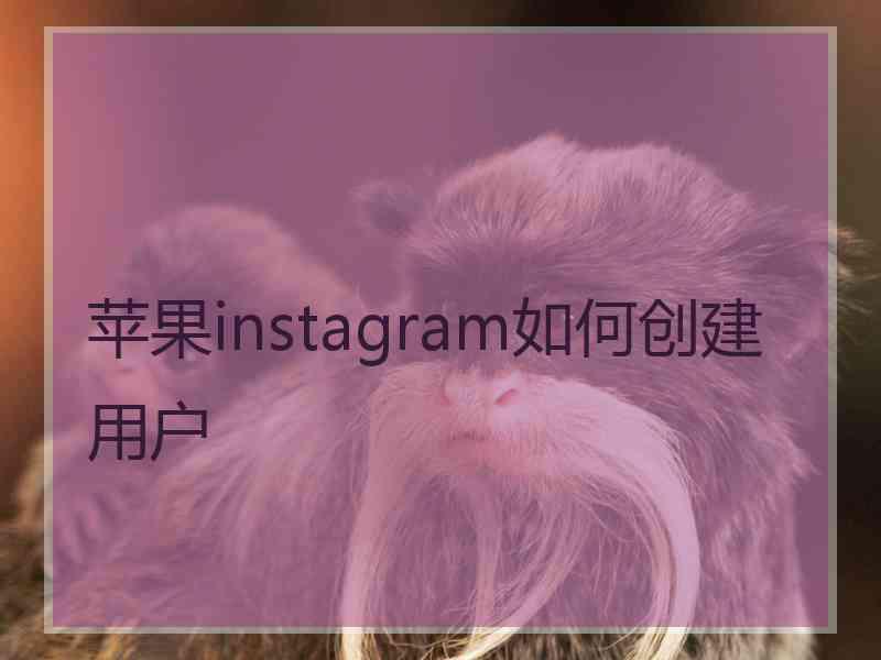 苹果instagram如何创建用户