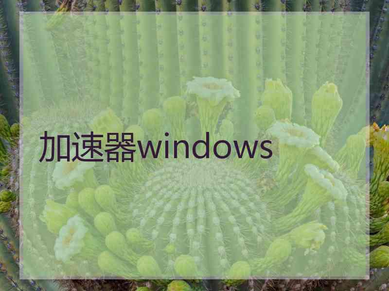 加速器windows