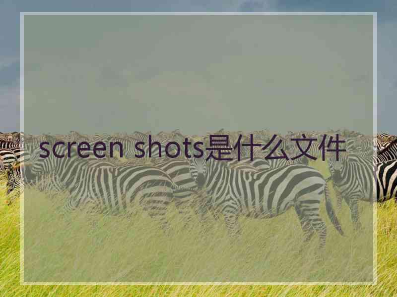 screen shots是什么文件