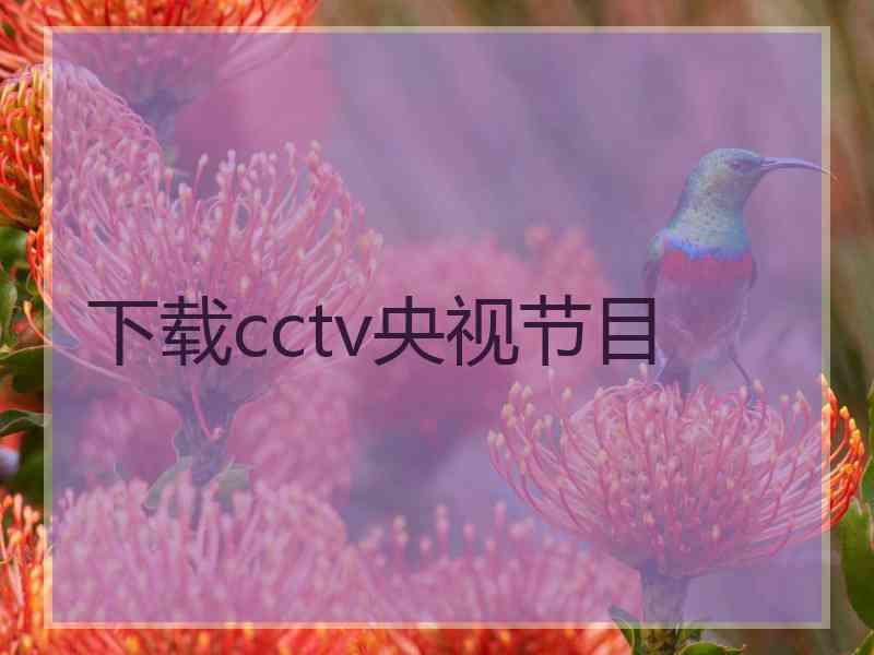 下载cctv央视节目