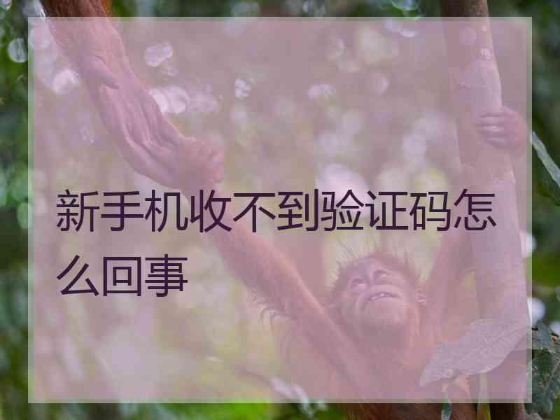 新手机收不到验证码怎么回事