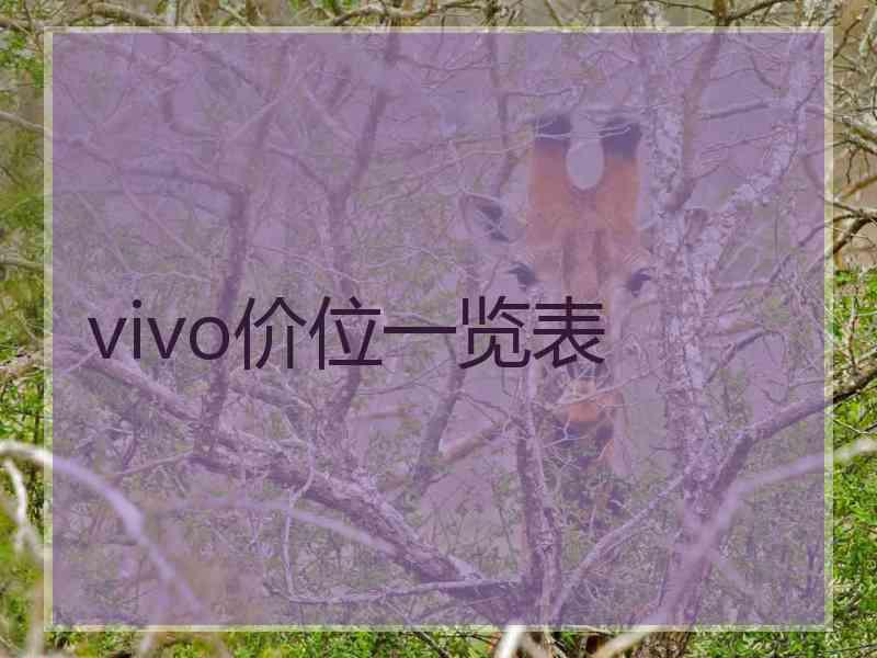 vivo价位一览表