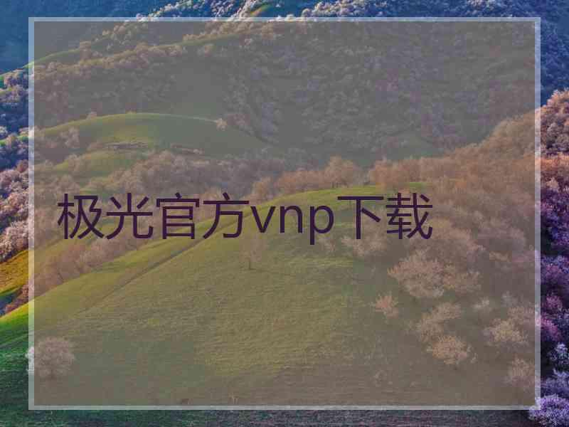 极光官方vnp下载